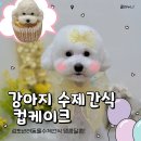 반려동물 케이크만들기 | 김포반려동물수제간식 댕콤달콤｜경기김포반려동물케이크 컵케이크 후기