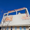 애개 하우스 | [경기/남양주] 남양주 대형 브런치 카페 하우스 용암_애견동반 ⭕️