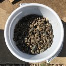 들꽃향기민박 이미지