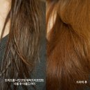 피엠비 | 올리브영 11월세일 나인코팅 헤어트리트먼트 컨디셔너 써보니