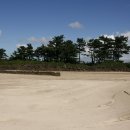 좌가연대 이미지