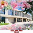 신장동 애견카페 시오스 카페 가격 및 후기 추천 리뷰 주차 예약 알아봐요