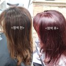 엘샤론염색