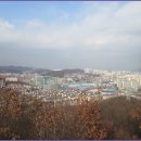 올레길 산림형 3코스 이미지