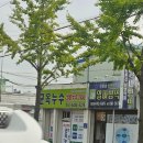 허니모텔 | 힐링먹짱 [군산] | 내돈내산 1박2일 여행코스(선유도 동네중국집 카페틈 군산버스터미널숙소 이성당...