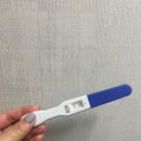 달성군보건소 | 임신 테스트기 두줄! 초기 증상 + 병원 후기 &amp; 달성군 보건소 혜택까지
