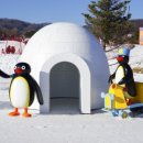 휘닉스평창 사우나 이미지