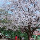 난향동-11 이미지