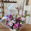 36 | 임신 33~36주차 임신후기 생일/막달검사/출산일변경/만삭네컷