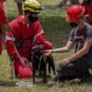 Hotel the May (호텔 5월) 이미지