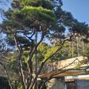 초읍어린이대공원 무료급식소 | 부산 도심에서 걷기 좋은 초읍 어린이대공원 겨울 둘레길 후기