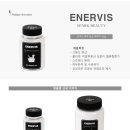 워킹펫 네이버블로그
