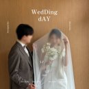 블리스모바일(주) | 2026년 웨딩 블리스아이폰스냅 상품 안내