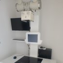 마음 동물병원 이미지