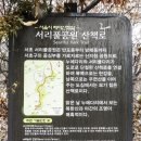 서리풀길 12 이미지