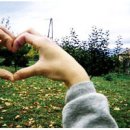 100가지의 사랑 이미지