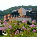 마금산자연온천