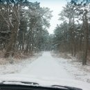 베라데로 | 태안 안면도에 애견펜션 베라데로 가족여행 다녀온 후기 (복층펜션 도베르만방)