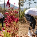 주식회사 디도 이미지