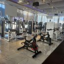 지니어스 짐 이미지