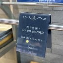 썸투나인 | 집순이 호소인