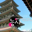 소풍커뮤니케이션 이미지