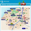 ** 각 지역마다 속속들이 열리는 국화축제 ** 이미지