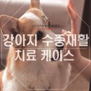 탄방메디칼 이미지