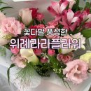 모모라라 | 🌷[위례] 위례 꽃집 꽃다발 당일 꽃배달 가능한 라라플라워