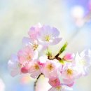 모모미용실 - 영천시 완산로 75 | 모모미용실