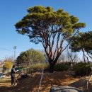 하루농장 이미지