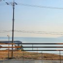 이리온애견펜션 이미지