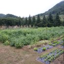 멍펜션9 이미지