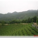 다향각화장실 티스토리