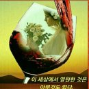 느티나무 쉼터 이미지