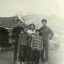 동악농원 Daum카페