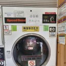 코런 이미지