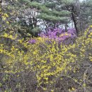 용천약수 | 인왕산둘레길(서대문이음길 2코스)