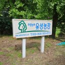 유성농장 | [충남/천안] 어린이 공주밤줍기체험, 유성 농장