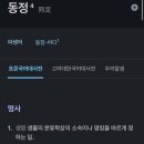 티클리 | 6월 일상 | 행궁동, 성수동, 동대문, 한강