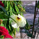 영양 산해리 오층모전석탑 이미지