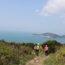 청산도 여행 ② : 느림보의 미학을 추구하며 아름다운 ‘슬로길’을 걷다. 이미지