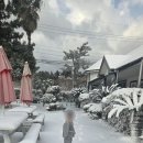 대흘샬레 | 제주 동쪽 펜션 대흘샬레 조천읍 숲속 감성 숙소 후기