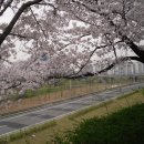 살아생전 이미지