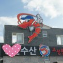 고성왕새우 이미지