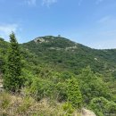 [등산] 군산 신시도 대각산 등산 후기 (군산 산골가든 식사)