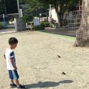 강하초등학교 이미지