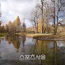 미아트숲
