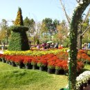 제60공원 이미지