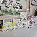 한국내과의원 | 일산 수액전문 화정내과에서 면역치료로 면역올리기